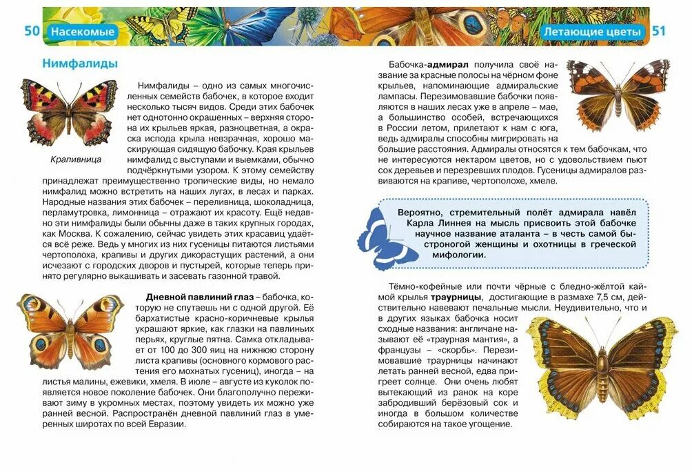 Травина и. в. "детская энциклопедия. Насекомые. Сходство и различие бабочек. Энциклопедия насекомых для детей. Детские книги про насекомых. Насекомые сходства и различия