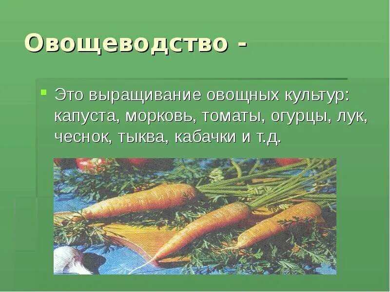 Проект по окружающему миру 4 класс овощеводство Растениеводство в нашем крае