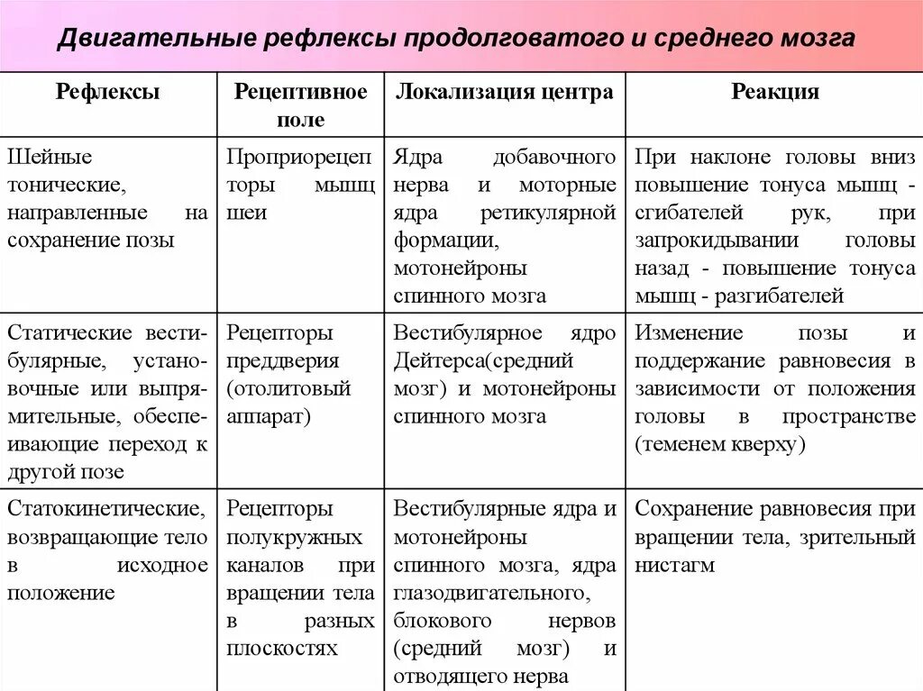 Рефлексы и функции продолговатого мозга таблица. Статические и статокинетические рефлексы таблица. Рефлексы ствола мозга таблица. Позные рефлексы ствола мозга таблица.