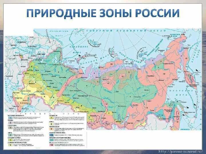 9 зон россии. Карта природных карта природных зон России. Карта природных зон России 4 класс окружающий мир. Географическая карта природные зоны 8 класс. Природные зоны России на карте с городами подробная.