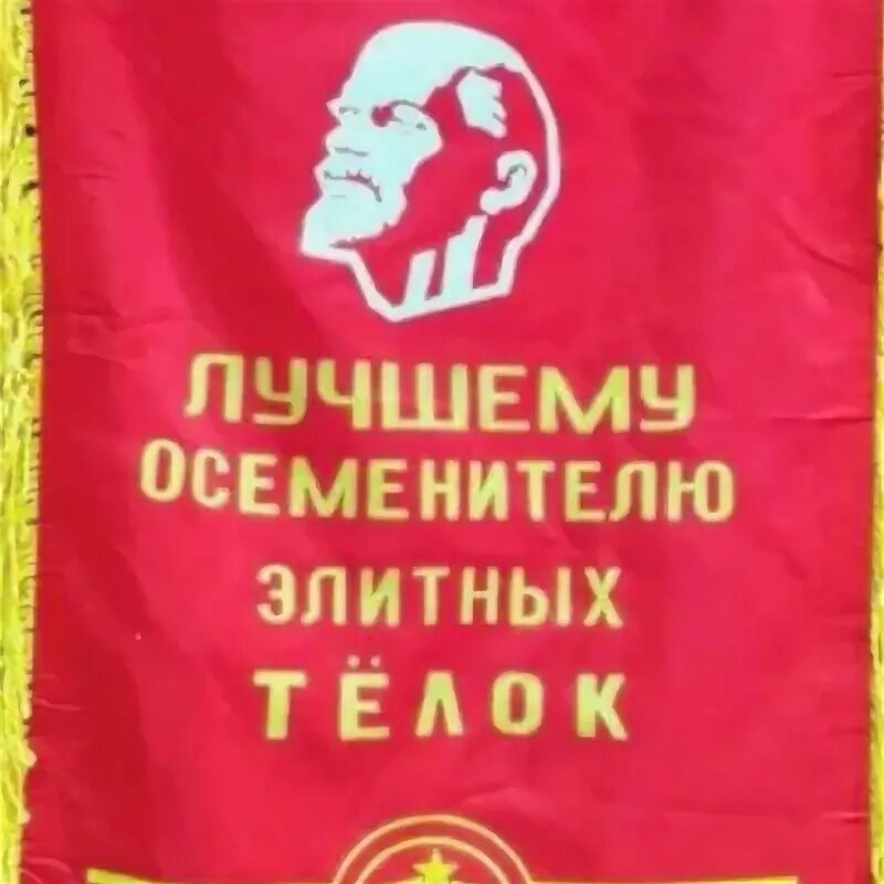 Осеменитель и жизнь с загипнотизированной. Лучший осеменитель. вымпел лучшему осеменителю.