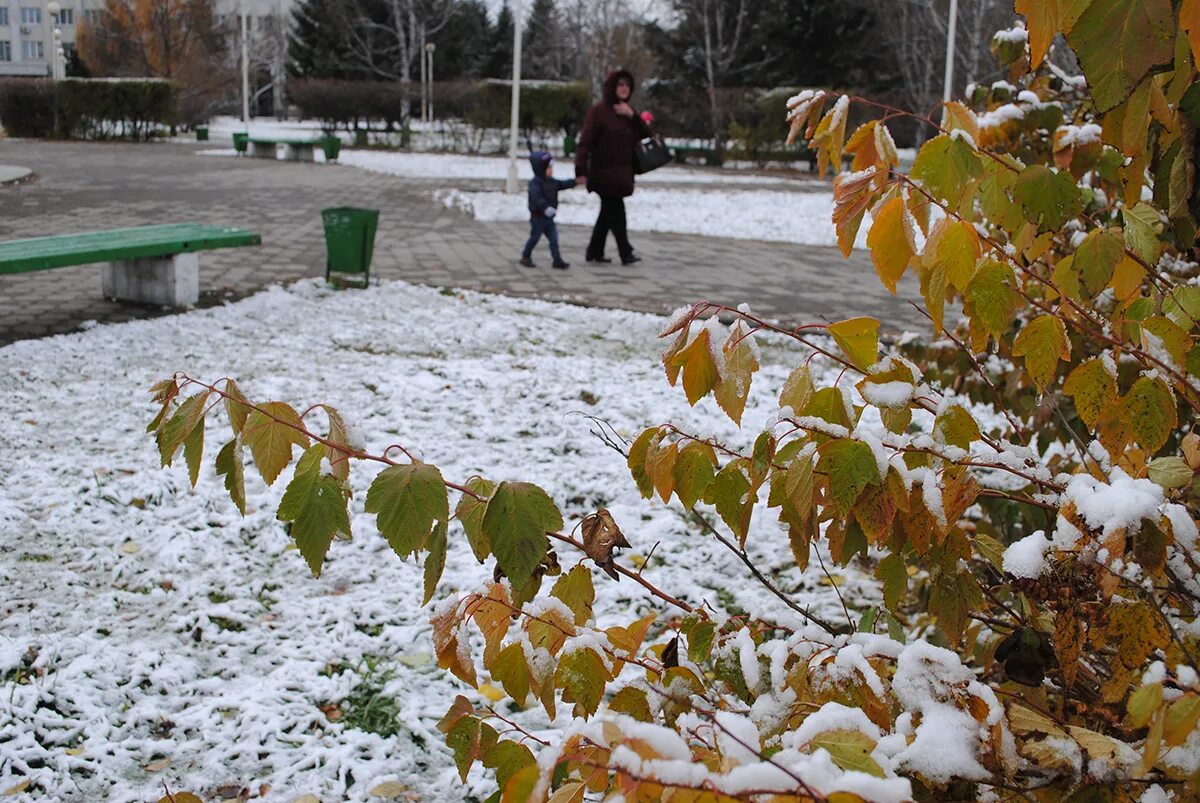 Погода белогорск амурская область точный прогноз. Амурская область осень ноябрь. Осень дождь Снежинка октябрь. Осадки в Амурской области снега. Хлопья мокрого снега на улице.