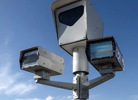 Ультразвуковые радары животных называют