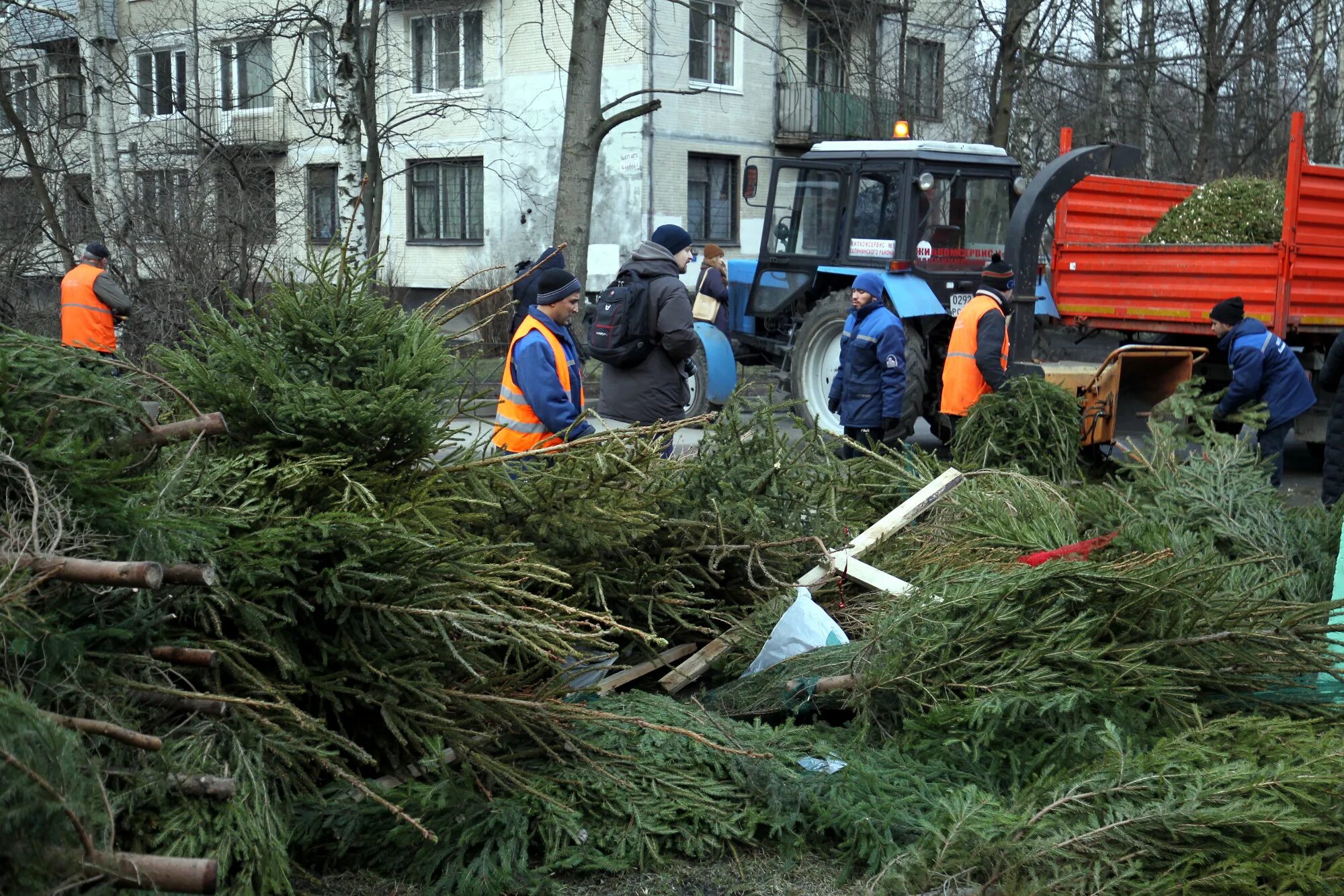 Где сдать елку на утилизацию в москве