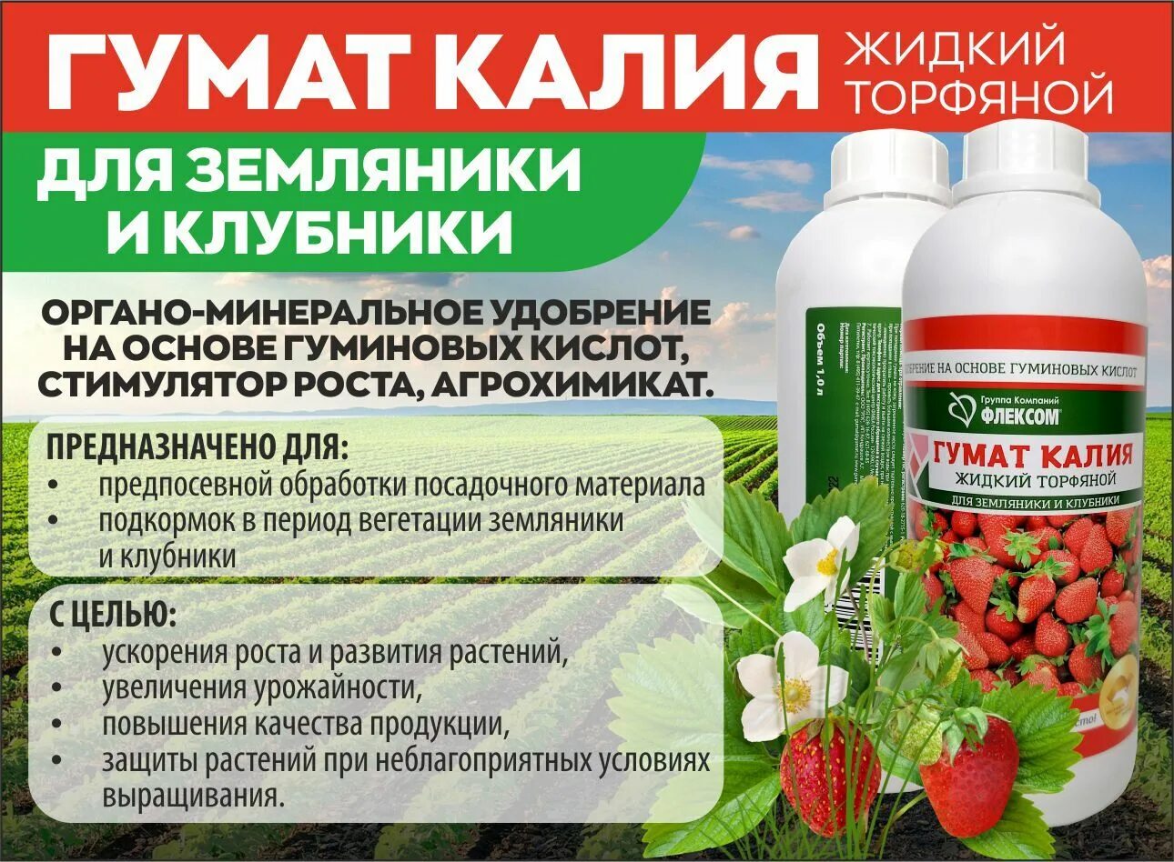 Подкормка клубники гуматом. Полив гуматом калия клубники. Полив гуматом калия клубники. Полив гуматом калия клубники. Полив гуматом калия клубники.