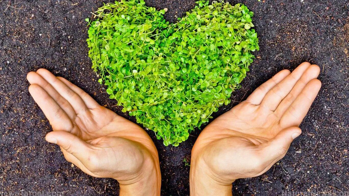 Caring environment. Caring environment