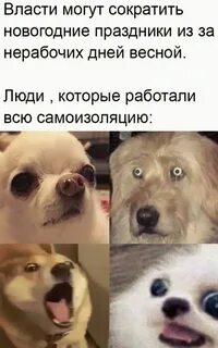 Смешно до слез новые