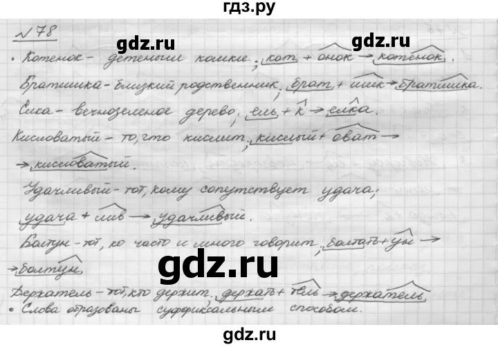 Русский язык упражнение 78. Шмелев 5 класс упражнение 79. Упражнение 78 по русскому языку 3 класс. Гдз по русскому языку упражнение 78. Русский язык страница 78 упражнение 161