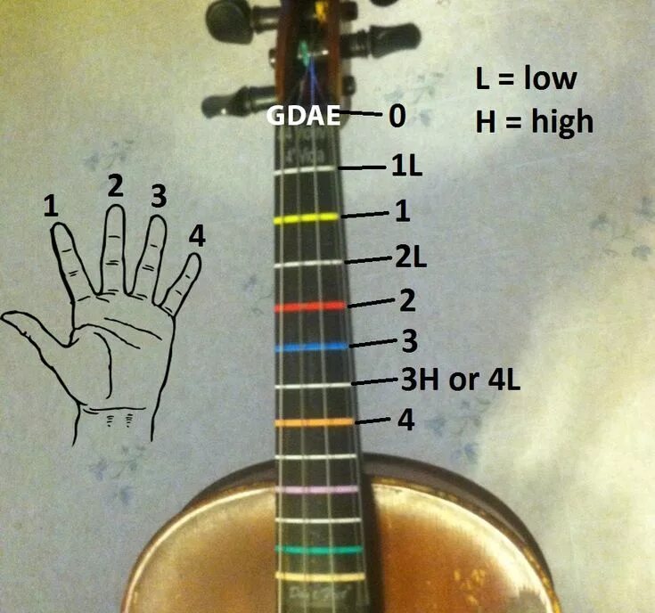 Orchestra Classroom Ideas: Yet another fingering chart Orchestra classroom, Viol