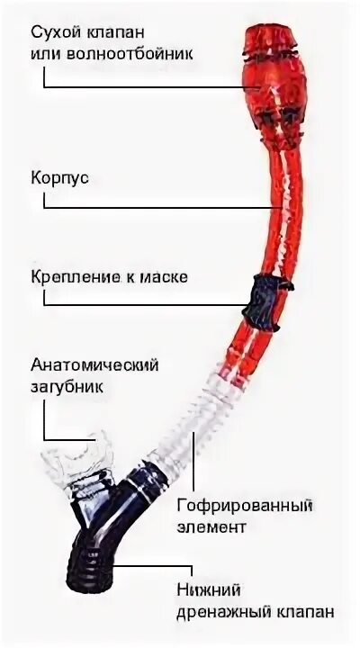 Как работает труба. Клапан на трубку для подводной охоты. клапан для трубки для подводного плавания joss. как работает трубка для подводного плавания с клапаном. дыхательная трубка.