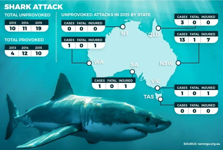 Статистика нападения акул. Статистика нападения акул в мире.