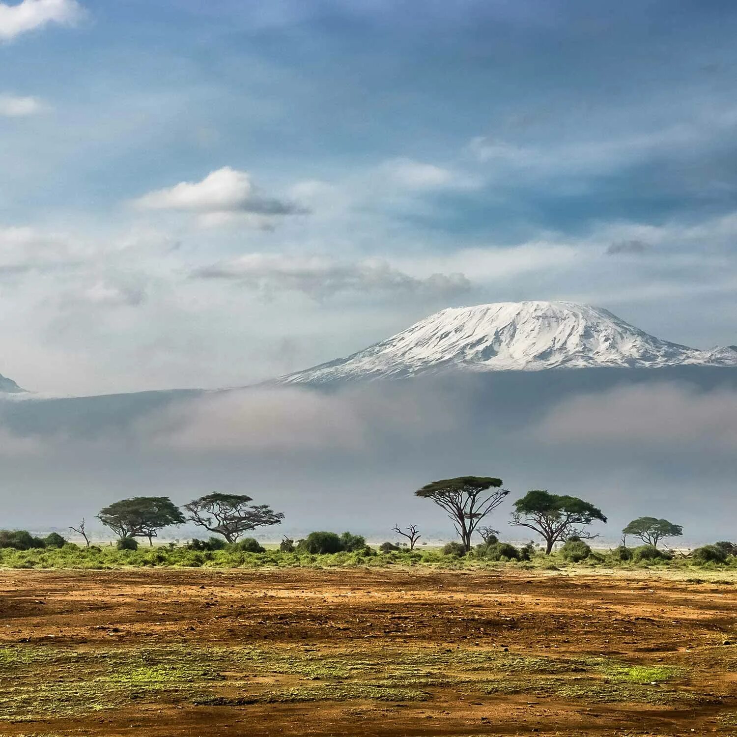Килиманджаро хемингуэя. Танзания Килиманджаро. Танзания гора Килиманджаро. Вулкан Килиманджаро. Национальный парк Килиманджаро.