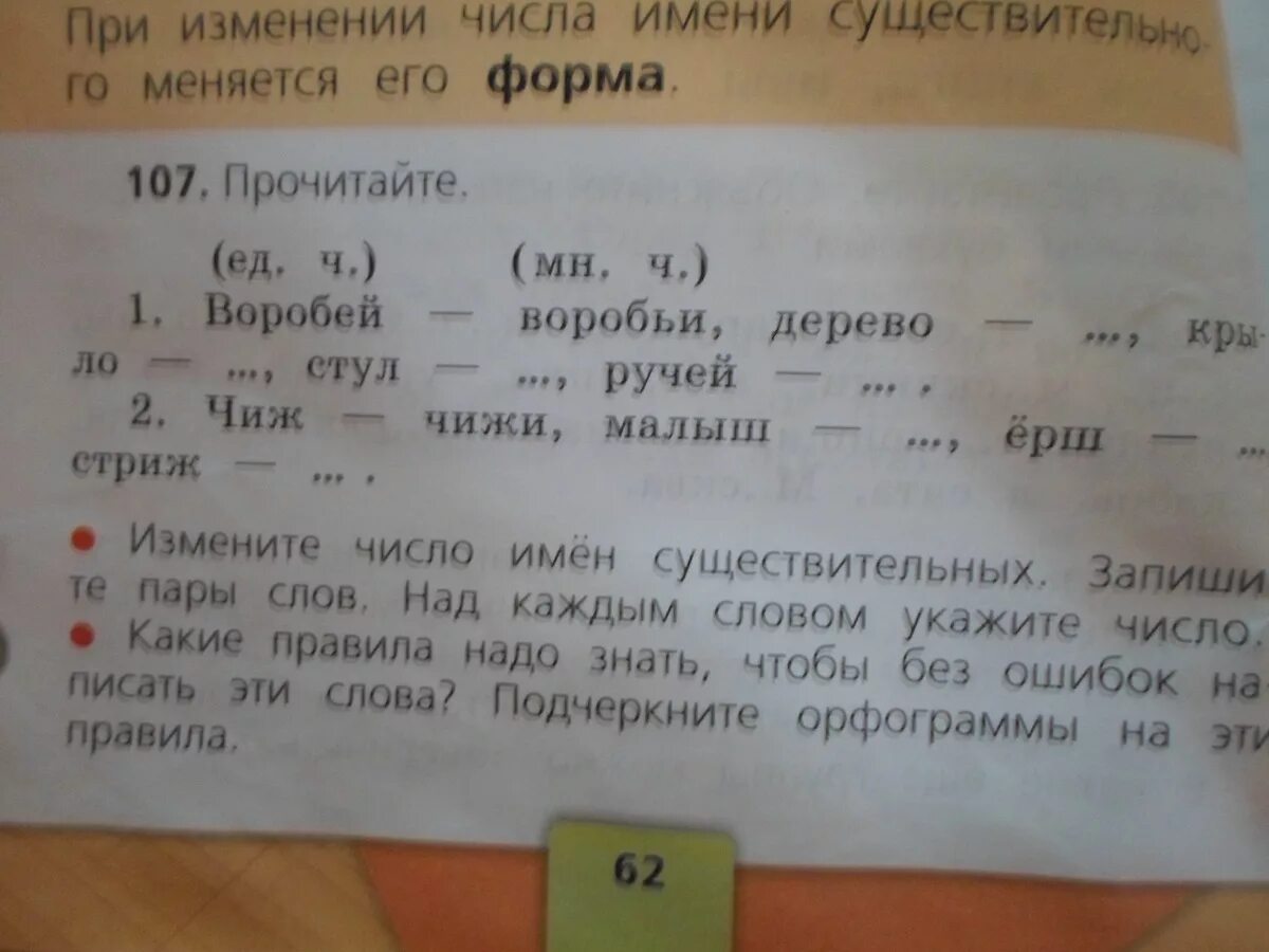 Измени число существительных запиши слова парами. Прочитайте измените число каждого имени существительного. Запиши слова укажи число 2 класс. Прочитайте. Измените число каждого имени существительного 2 класса. Измените число имен существительных запишите пары слов