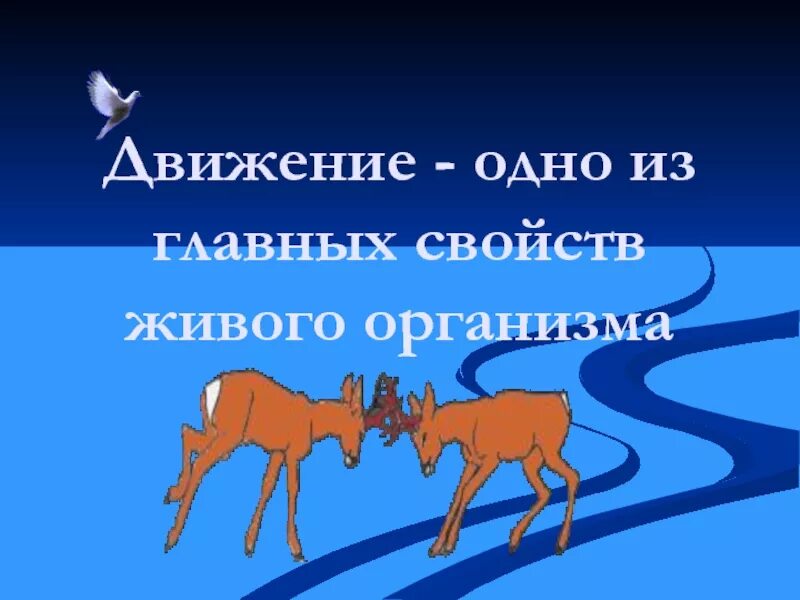 Кто такие что такое движение 1. Презентация по биологии на тему движение. движение свойство живых организмов. презентация движение живых организмов. движение для презентации.