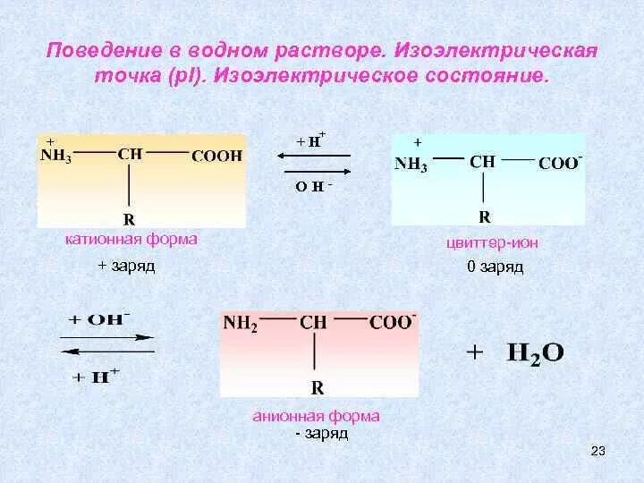 В какой среде находится. PH Pi аминокислот. Изоэлектрическая точка аминокислот. Расчет изоэлектрической точки. Pi изоэлектрическая точка.
