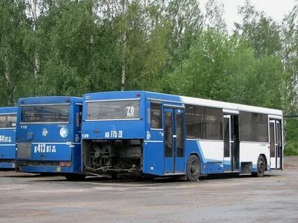 Санкт петербург кировск автобус