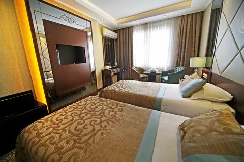 Birds hotel