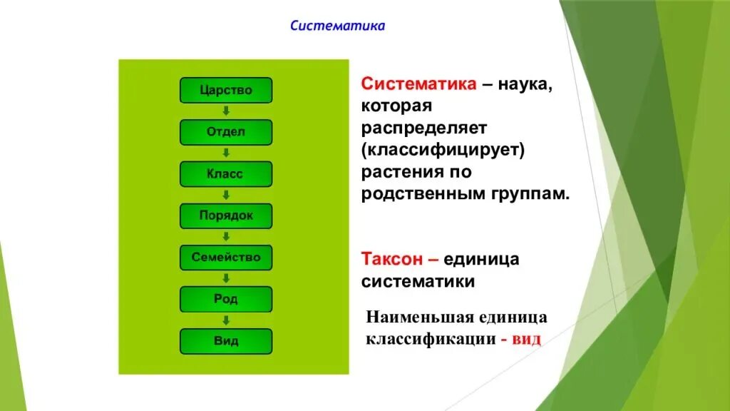 Таксономические категории в систематике растений и животных. Таксономические единицы таксоны растений. Классификация растений 6 класс биология основы систематики растений. Биология 6 класс систематические единицы растений.