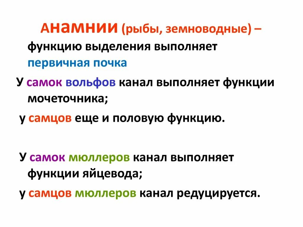 В зависимости от функции выделяют. Функцию выделения выполняют. Рыбы анамнии. Земноводные функции. Первичные почки анамний.