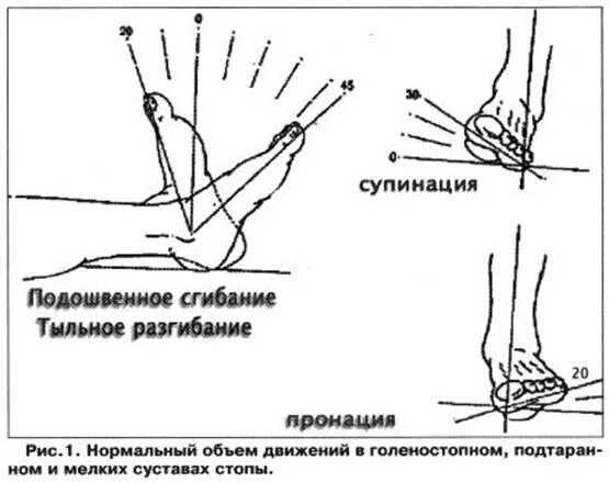 Движение стопы. Сгибание и разгибание в голеностопном суставе. разгибание стопы в голеностопном суставе. движения стопы пронация супинация. сгибание стопы в голеностопном суставе.