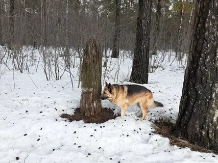 Когда закончится зима