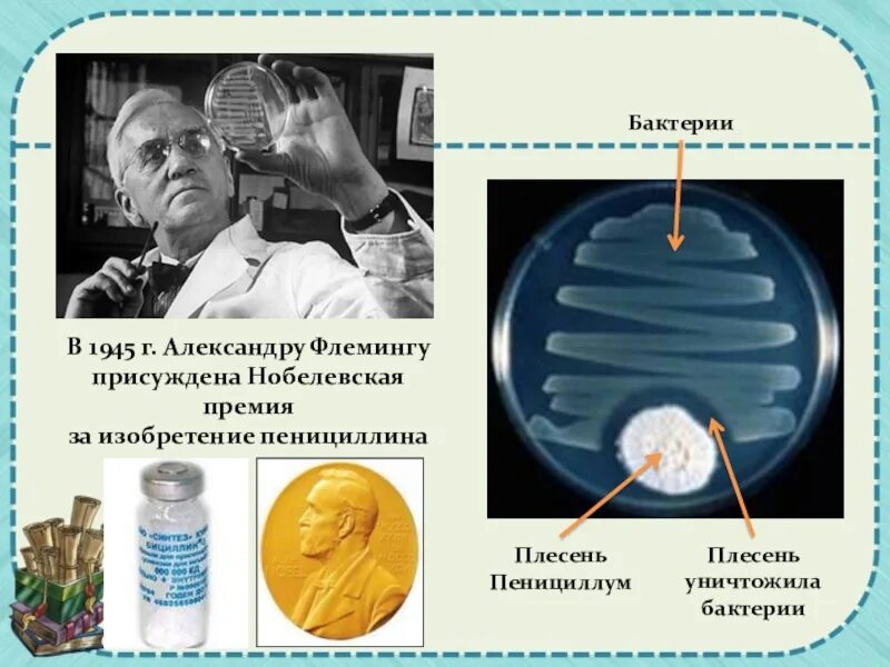 Кто первый открыл пенициллин