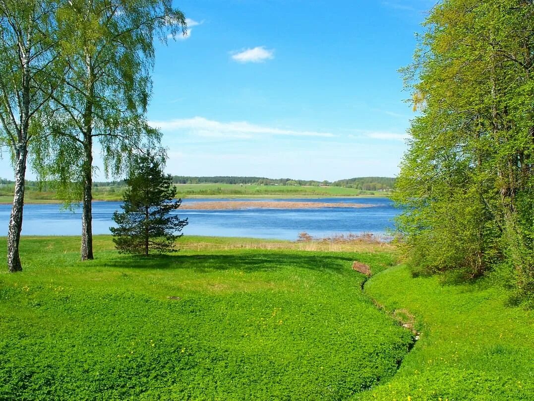 Земля родная молодость. Родина природа. Природа нашей Родины. Природа родной земли. Родной край Россия.