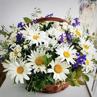Букет цветов ромашки