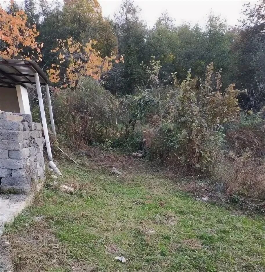 Адлер холодные ключи. Белый ключ 1 снт. Снт лесной ижевск. "продам дачу 1-я линия снт-7  "89065495246" конаково". Снт холодные ключи адлер.