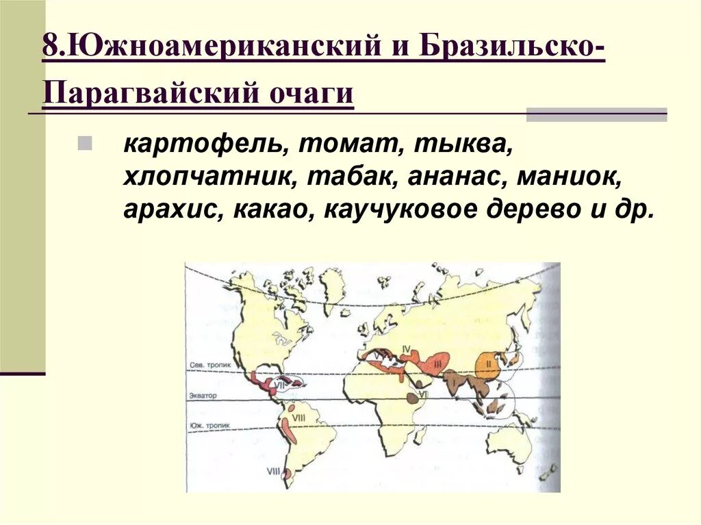 Южноамериканский центр происхождения культурных растений. Ананас и картофель центр происхождения. Центр происхождения картофеля. Центр происхождения южноамериканский центр растения.