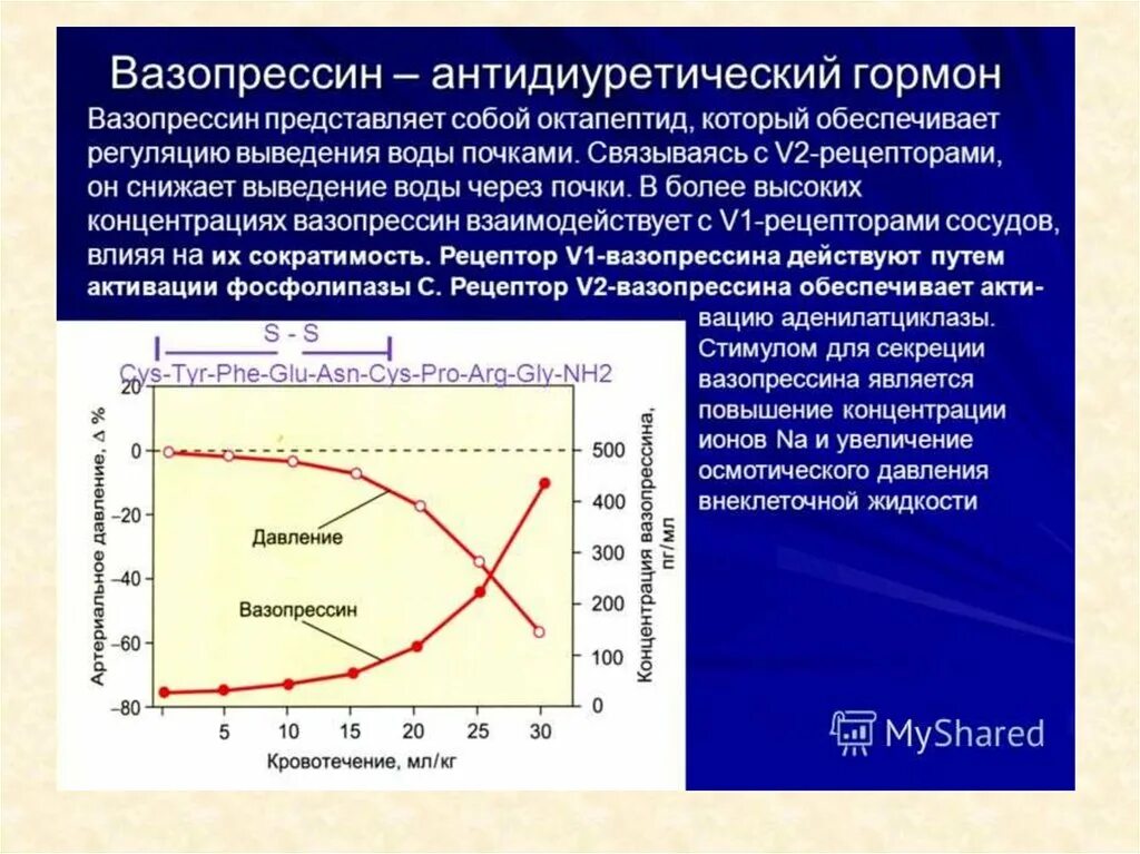 Где наблюдается наибольшая концентрация организмов. Андидиуритеческие гормоны. Вазопрессин гормон. Увеличение концентрации вазопрессина. Повышение секреции вазопрессина.