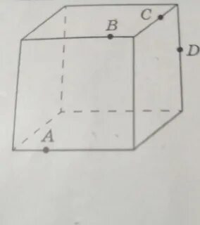 Отрезки куба