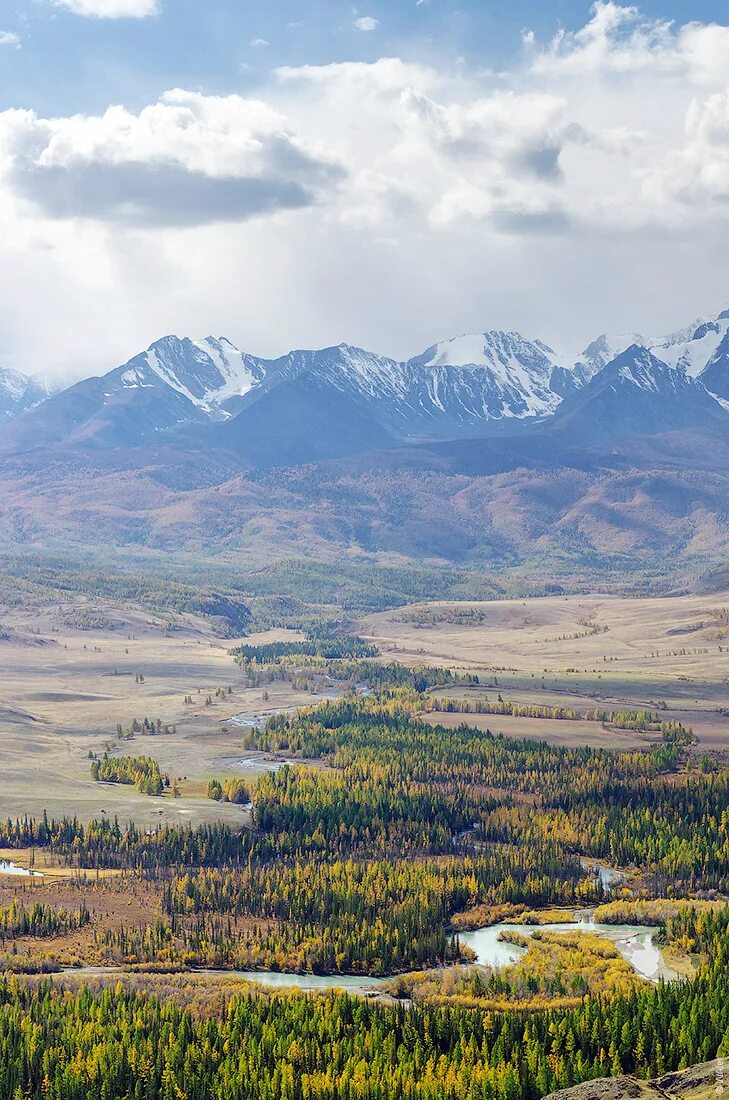 Курай горный Алтай. Поселок курай Республика Алтай. Курай Чуйский горный Алтай. Алтай курай горы.