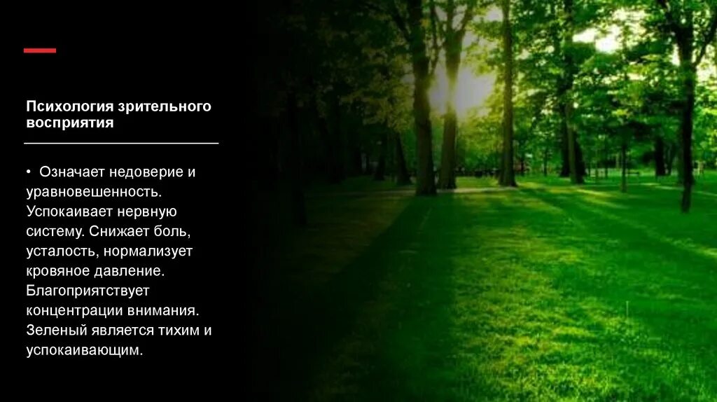 Цвета успокаивающие нервную. Цвет успокаивающий нервную систему. зелёный цвет успокаивает человека. успокаивающий цвет в психологии. какой цвет успокаивает нервную систему ребенка.