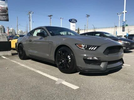 Grey ford