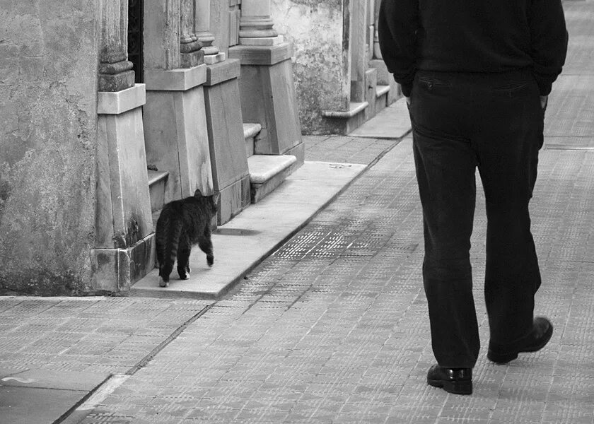 Прошел мимо и не помог