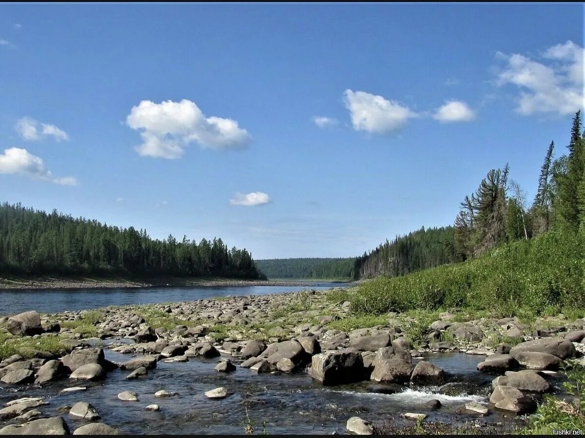 Бахта сейчас. Река бахта красноярский край. поселок бахта на енисее.