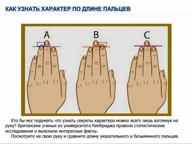 Как узнать есть у человека. Характер по длине пальцев. Характер по пальцам рук. Определить характер по длине пальцев. Расположение пальцев на руке.