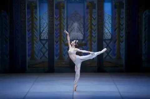 Мен онлайн сперматозоидтардың порносына сенімді болдым