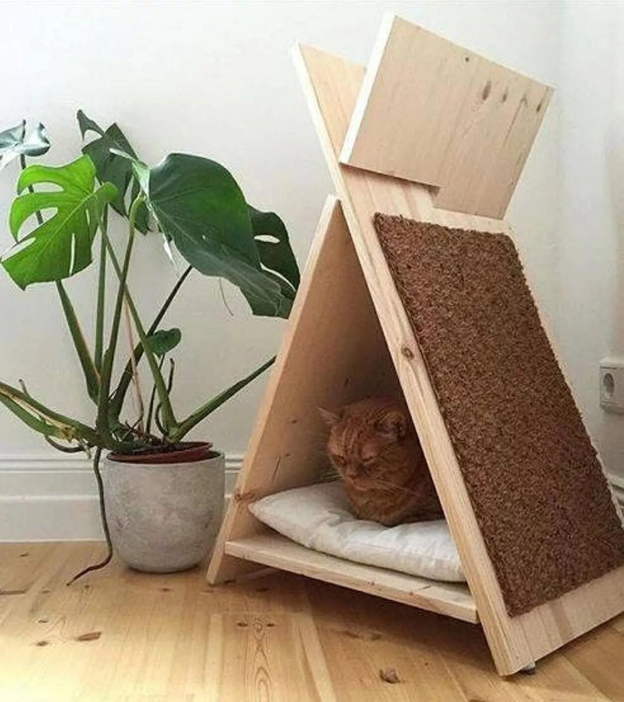 Самодельный кот. Домик для кошек. Деревянный домик для кошки. Интересные домики для кошек. Кошачьи домики из дерева.