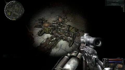 Сталкер сигериус 2.2