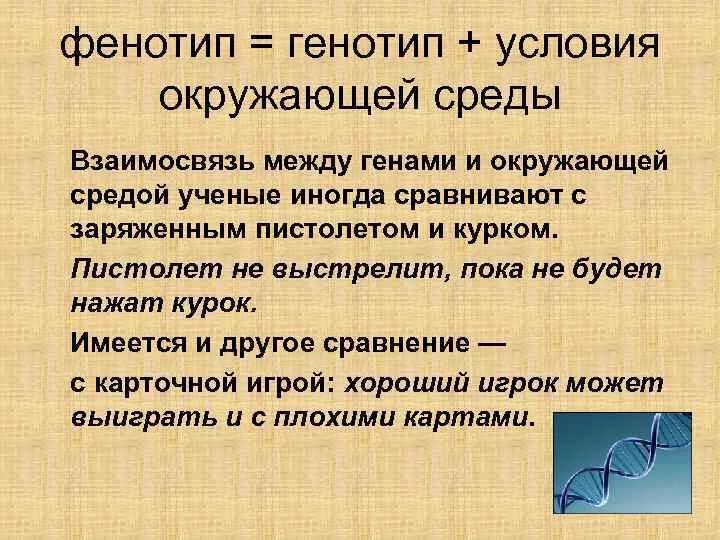 В результате изменения генотипа. Фенотип. Генотип и фенотип. Условия развития фенотипа. Как генотип влияет на фенотип.