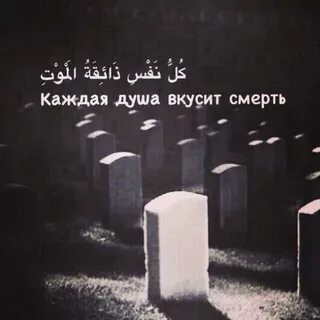 Каждая душа