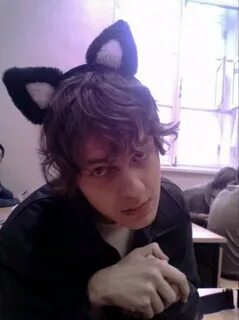 Хованский котенок