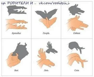 Театр теней животные