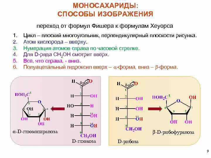Моносахариды 6 атомов углерода