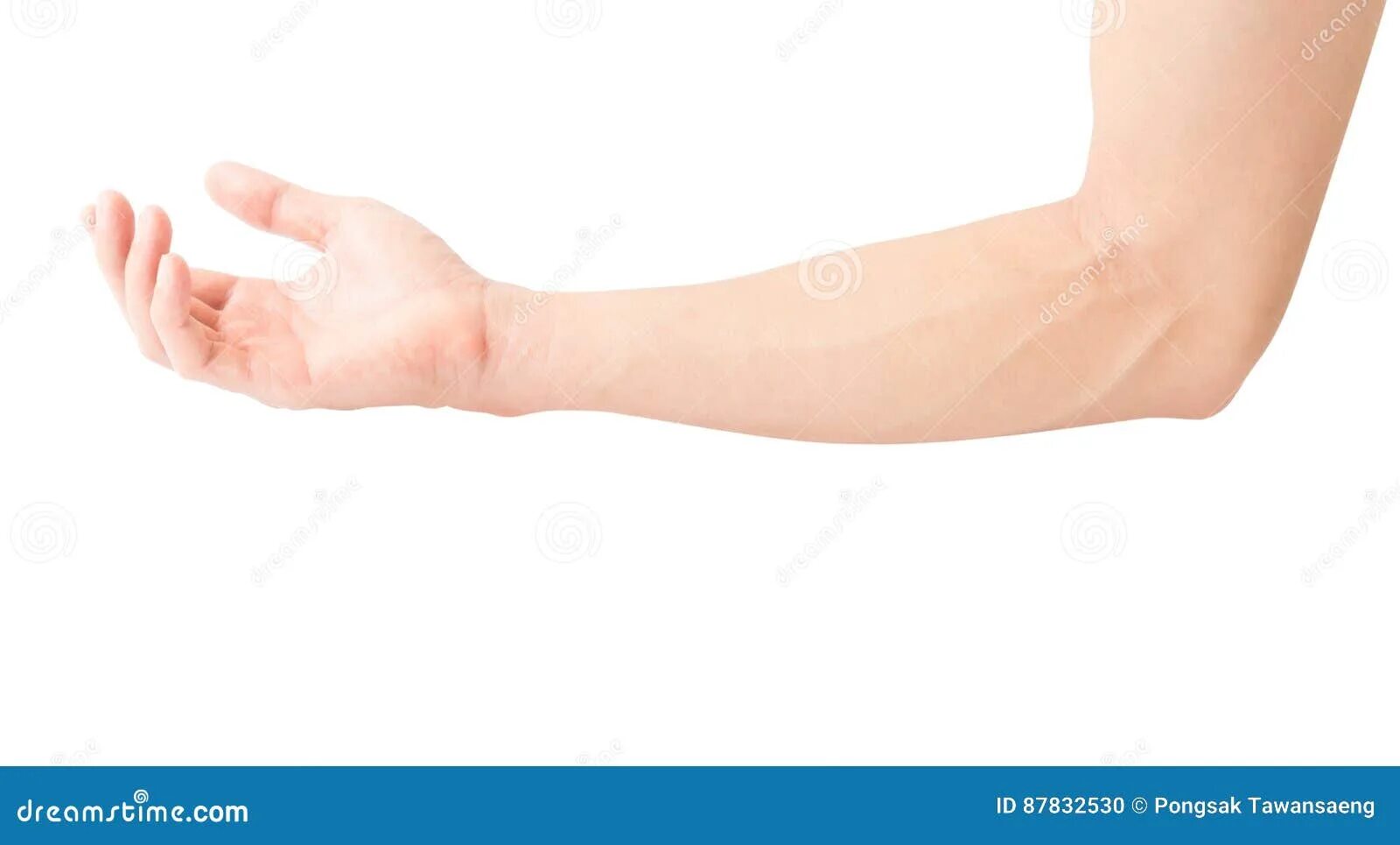 Arm point