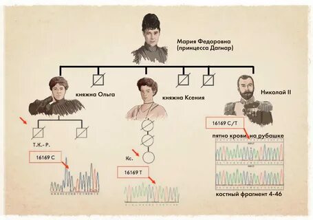 Прадед разбор