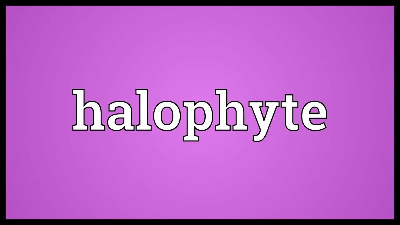 What are the typical. Typical. typical meaning. jointly.