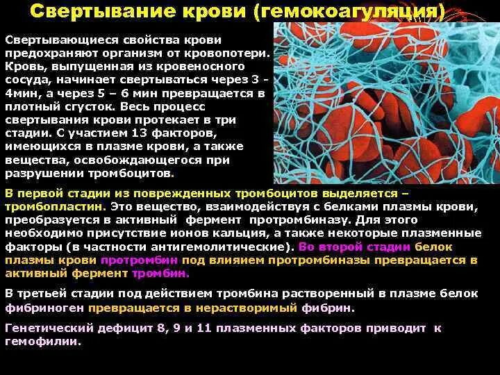 Вещества необходимые для свертывания крови. Для свертывания крови необходимо присутствие в крови. Для свертывания крови необходимы ионы. Для процесса свёртывания крови необходимы ионы. Свертывание крови группы крови